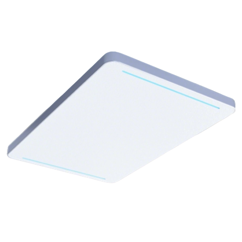 RFID Smart Anti-theft Access Control System (Ceiling Mount)